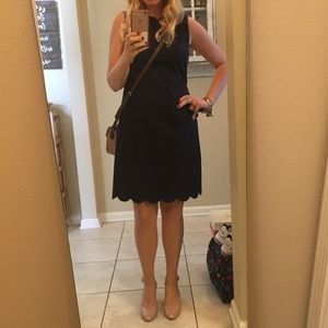 JCrew Navy Scalloped Dress